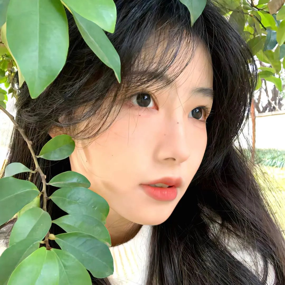 招惹玫瑰